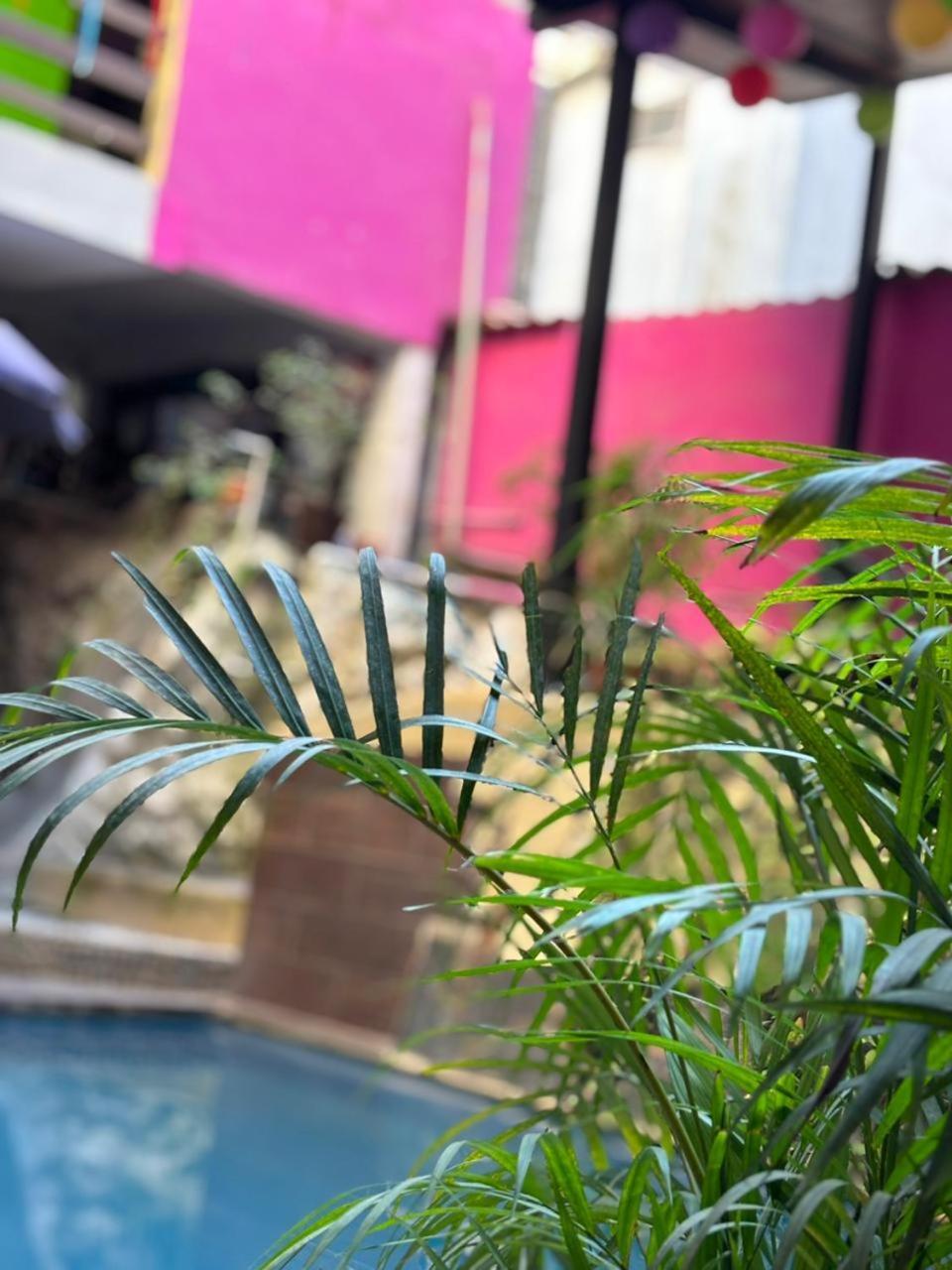 Playa Sayulita Hotel Buitenkant foto